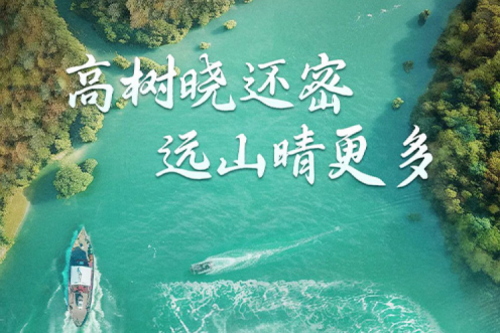 处暑安康 | BB贝博艾弗森官网与您共享风静草虫吟